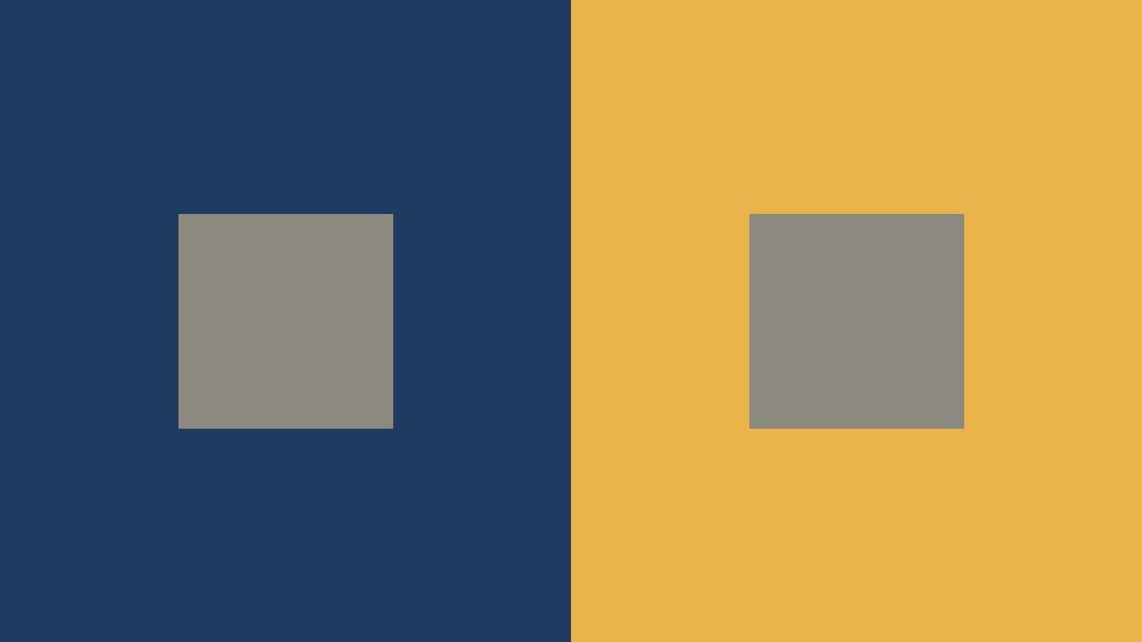 Two identical grey squares, one on a navy field and one on a mustard field, that appear to be different colours